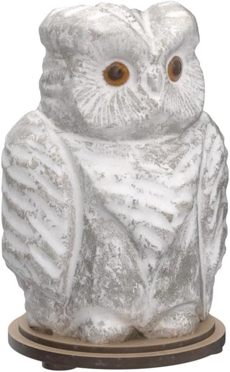Owl Crystal Salt Lamp H 6.7โ, 4.4 lbs - Pure Natural Rock Salt โ Unique Night Light Lamp - 1 Light Bulb as a Gift - Wooden Present Box - Holiday Gift Ideas - Cool Room Dรฉcor