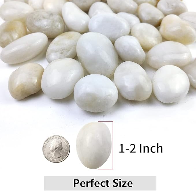 40lbs White River Rocks for Garden Landscaping, 1-2 Inch Natural Pebbles for Indoor Plants, High Polished Decorative Stones Outdoor and Indoor DIY Vase Filler Fish Tank Aquariums