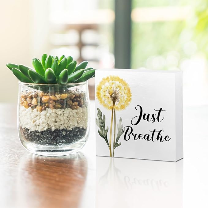Just Breathe Decorative Wooden Box Sign, dandelion Inspirational Quotes Deco Rustic Farmhouse Home Office Shelf Table Decorations Wood Block Plaque