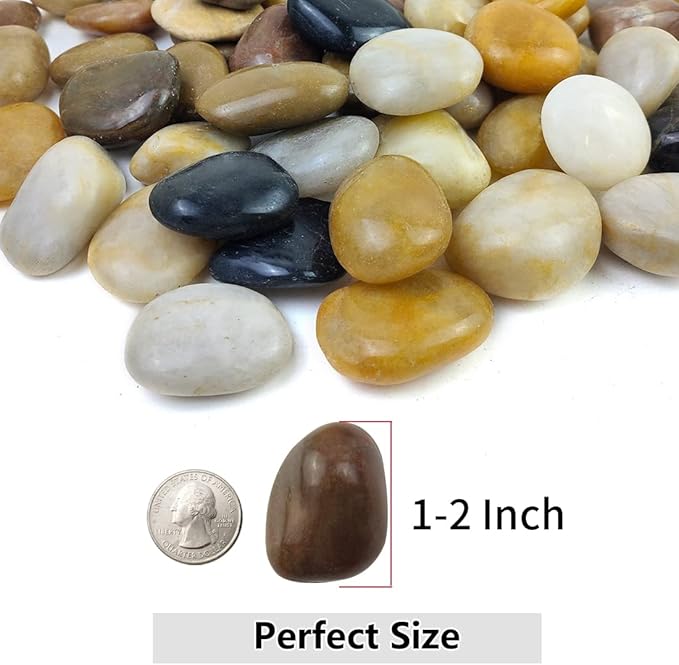 5lbs Pebbles for Indoor Plants, 1-2 Inch Mixed Color High Polished River Rocks Outdoor Decorative Stones Vase Filler Fish Tank Aquariums Landscaping Garden Outdoor and Indoor DIY