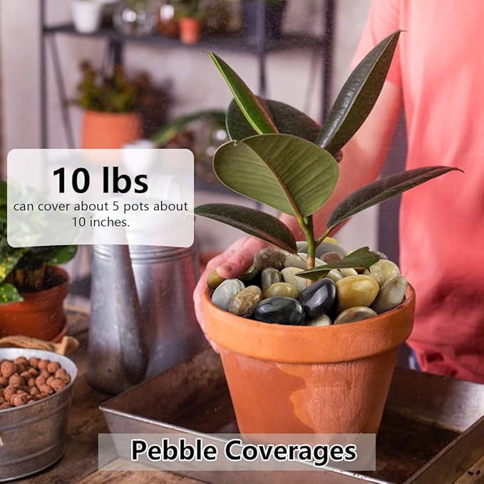 5lbs Pebbles for Indoor Plants, 1-2 Inch Mixed Color High Polished River Rocks Outdoor Decorative Stones Vase Filler Fish Tank Aquariums Landscaping Garden Outdoor and Indoor DIY