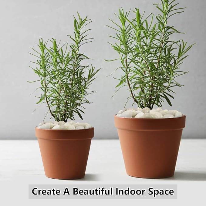 River Rocks for Landscaping, Natural Polished Pebbles for Indoor Plants, Small Decorative White Stones for Vase Fish Tank Aquariums Landscaping Garden, 20lbs