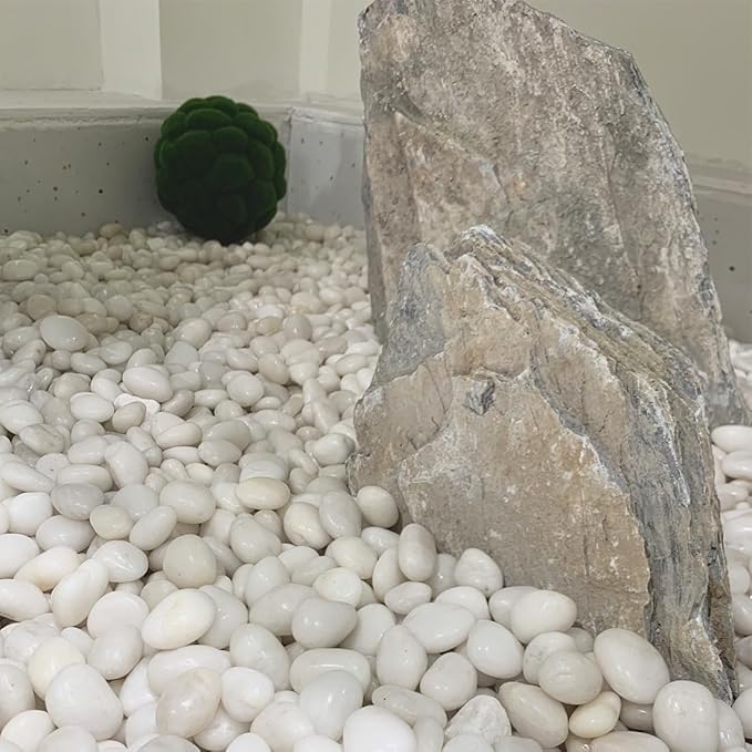 40lbs White River Rocks for Garden Landscaping, 1-2 Inch Natural Pebbles for Indoor Plants, High Polished Decorative Stones Outdoor and Indoor DIY Vase Filler Fish Tank Aquariums