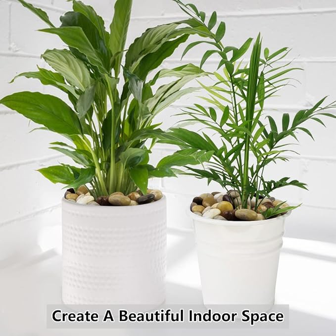 River Rocks for Landscaping, Natural Polished Pebbles for Indoor Plants, Small Decorative Mixed Color Stones for Vase Fish Tank Aquariums Landscaping Garden, 20lbs