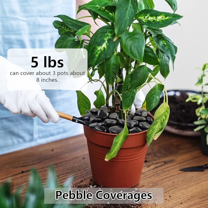 Black Pebbles for Indoor Plants, Natural Polished River Rocks, Small Decorative Stones for Planters Vase Fish Tank Aquariums Landscaping Garden, 10lbs