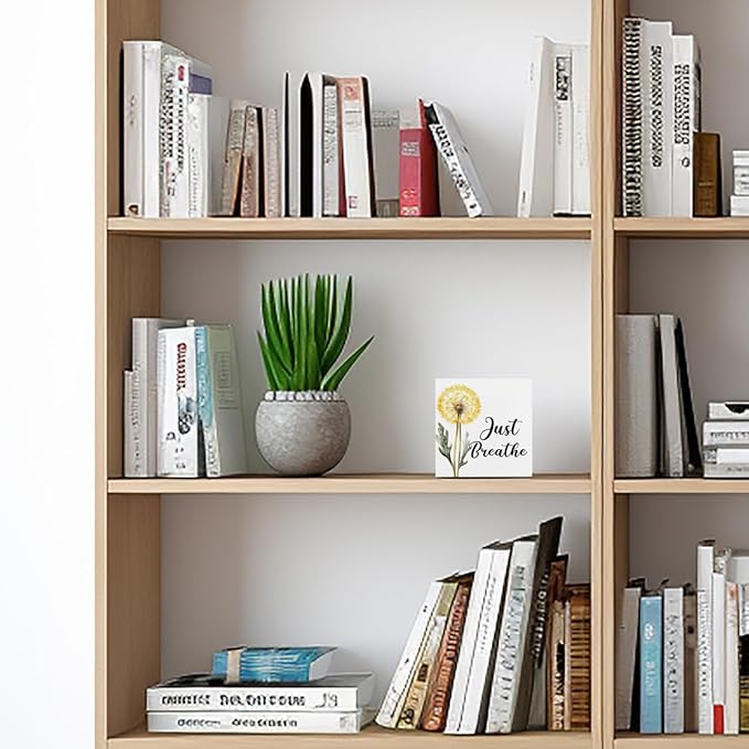 Just Breathe Decorative Wooden Box Sign, dandelion Inspirational Quotes Deco Rustic Farmhouse Home Office Shelf Table Decorations Wood Block Plaque