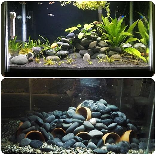 1-2 Inch Black Pebbles for Plants, 2 lbs River Rocks Decorative Black Stones, Ideal for Fish Tank, Vases, Crafting, Home Decor and Garden Landscaping Rocks