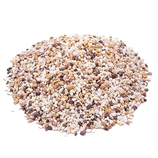 18 Pounds Natural Pea Gravel Pebbles,Small Rocks,Decorative Rocks for Succulents,Aquarium Gravel,Vase Filler,Plants