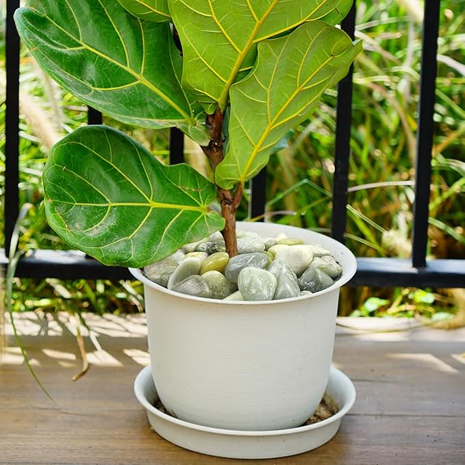 20lbs Jade River Rocks, 1-2 Inch Natural Pebbles for Indoor Plants, High Polished Decorative Stones Vase Filler Fish Tank Aquariums Landscaping Garden Outdoor and Indoor DIY