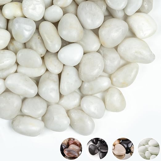 10lbs Pebbles for Plants, 1-2Inch Natural White River Rocks for Aquarium, High Polished Decorative Stones for Vase Filler Fish Tank Landscaping Garden