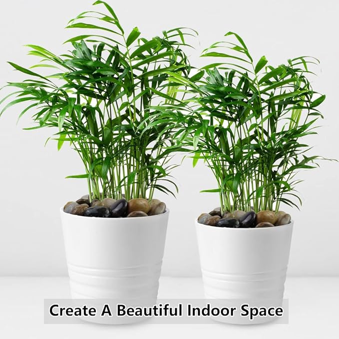 10lbs Pebbles for Indoor Plants, 1-2 Inch Mixed Color High Polished River Rocks Outdoor Decorative Stones Vase Filler Fish Tank Aquariums Landscaping Garden Outdoor and Indoor DIY