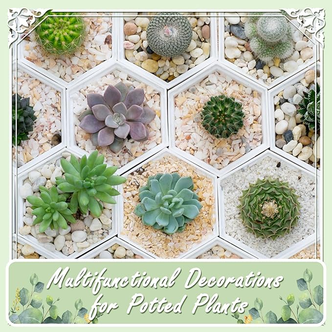 5lbs Natural River Rocks, High-Polished Pebbles for Plants Garden, 1-2 inch Decorative Black Stones, Ideal for Fish Tank, Vases, Crafting, Home Decor and Garden Landscaping Rocks,Black