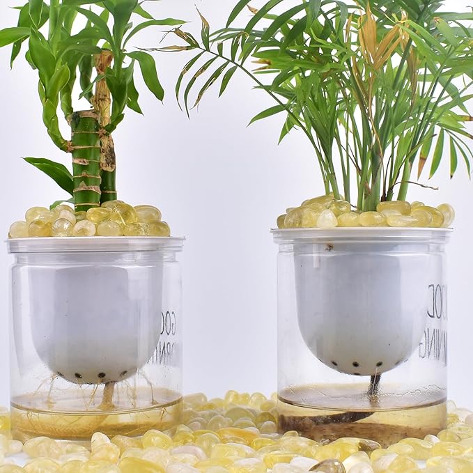 Polished Citrine Crystals Quartz - 72 Pcs, 0.5" 10 oz Handpicked Tumbled Gemstones Rocks Jasper, Pebbles for Reiki, Chakra, Healing and Decoration