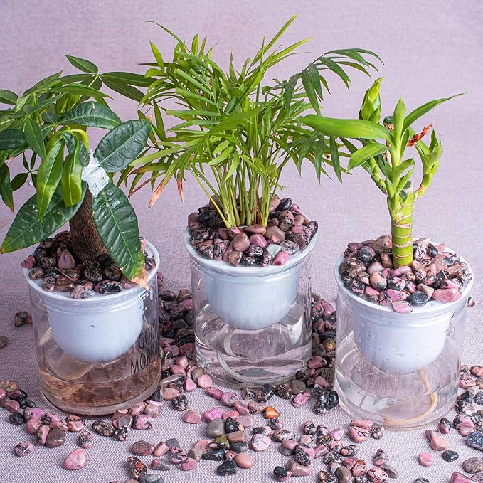 Polished Rhodonite Crystals - 72 Pcs, 0.5" 10 oz Handpicked Natural Tumbled Gemstones Rocks, Pebbles for Reiki, Chakra, Healing Home Decor