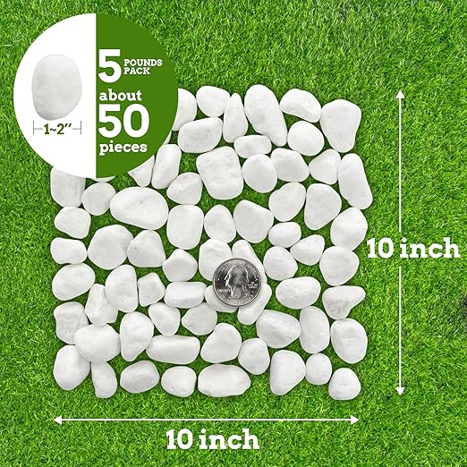 White Rocks for Plants, 1-2 Inch Pebbles for Indoor Plants, 10 lbs River Rocks Decorative White Stones, Ideal for Fish Tank, Vases, Crafting, Home Decor and Garden Landscaping Rocks