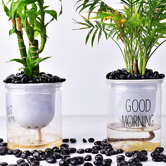 Polished Obsidian Crystals - 72 pcs, 0.5" Handpicked Tumbled Gemstones Rocks, Pebbles for Reiki, Chakra, Healing, Home Decor