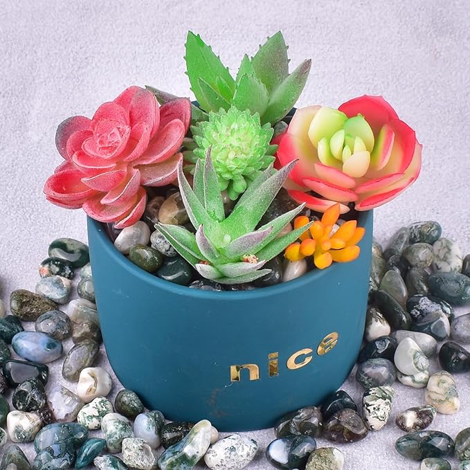 Polished Moss Agate Crystals - 72 Pcs, 0.5" 10 oz Handpicked Natural Tumbled Gemstones Rocks, Pebbles for Reiki, Chakra, Healing Home Decor