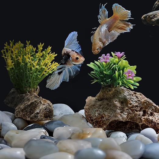 2lbs White Pebbles for Indoor Plants, 1-2Inch Natural River Rocks for Aquarium, High Polished Decorative Stones for Vase Filler Fish Tank Landscaping Garden