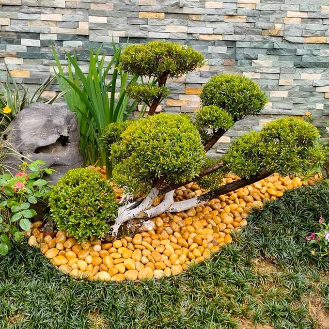 Rocks for Plant 2lbs, Yellow River Rocks 1-2 Inch Natural Pebbles for Indoor Plants, High Polished Decorative Stones Vase Filler Fish Tank Aquariums Landscaping Garden