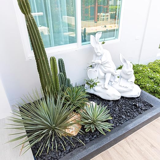 10lbs Black Pebbles for Plants, 1-2Inch Natural River Rocks for Aquarium, High Polished Decorative Stones for Vase Filler Fish Tank Landscaping Garden