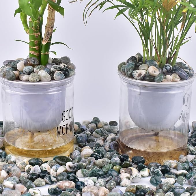 Polished Moss Agate Crystals - 72 Pcs, 0.5" 10 oz Handpicked Natural Tumbled Gemstones Rocks, Pebbles for Reiki, Chakra, Healing Home Decor