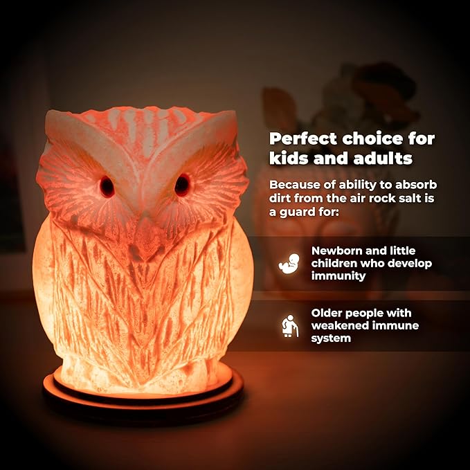 Owl Crystal Salt Lamp H 6.7โ, 4.4 lbs - Pure Natural Rock Salt โ Unique Night Light Lamp - 1 Light Bulb as a Gift - Wooden Present Box - Holiday Gift Ideas - Cool Room Dรฉcor