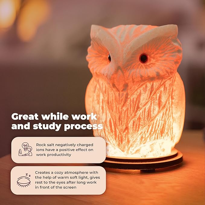 Owl Crystal Salt Lamp H 6.7โ, 4.4 lbs - Pure Natural Rock Salt โ Unique Night Light Lamp - 1 Light Bulb as a Gift - Wooden Present Box - Holiday Gift Ideas - Cool Room Dรฉcor
