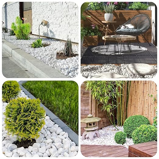 White Rocks for Plants, 1-2 Inch Pebbles for Indoor Plants, 5 lbs River Rocks Decorative White Stones, Ideal for Fish Tank, Vases, Crafting, Home Decor and Garden Landscaping Rocks