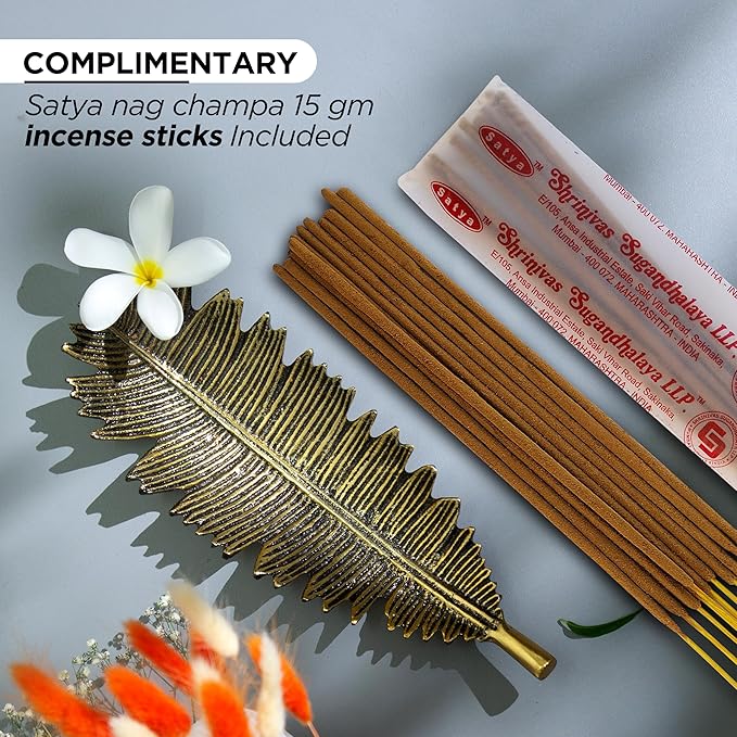 Raajsee Incense Holder Set with Nag Champa Incense Sticks 15gm, Leaf Insense-Stick Holder, Brass Incense Burner,Modern Stick Incente Holder for Yoga, Meditation,Home Décor Size 10x4 inches GOLD
