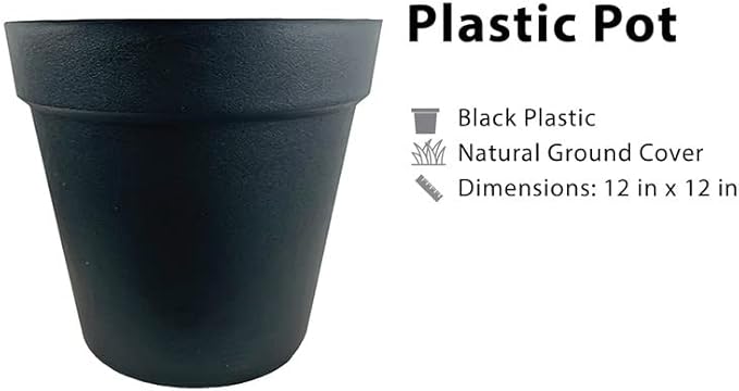 Artificial Ficus Tree in Black Plastic Pot - Real Wood Trunk, Preassembled, No Maintenance Indoor Faux Plant - Living Room, Home & Office Decor (10ft Tall)