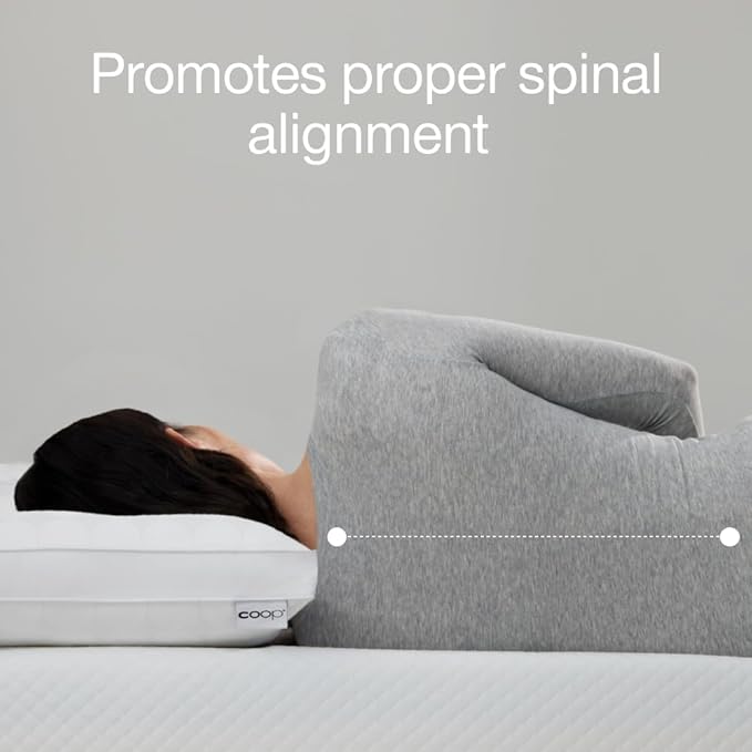 Coop Home Goods Essence Cooling Down Alternative Pillows Set of 2, Queen Size Adjustable Cooling Pillow for Hot Sleepers, Cool-Touch Luxury Hotel Pillows for Stomach, Back, or Side Sleepers 27x17