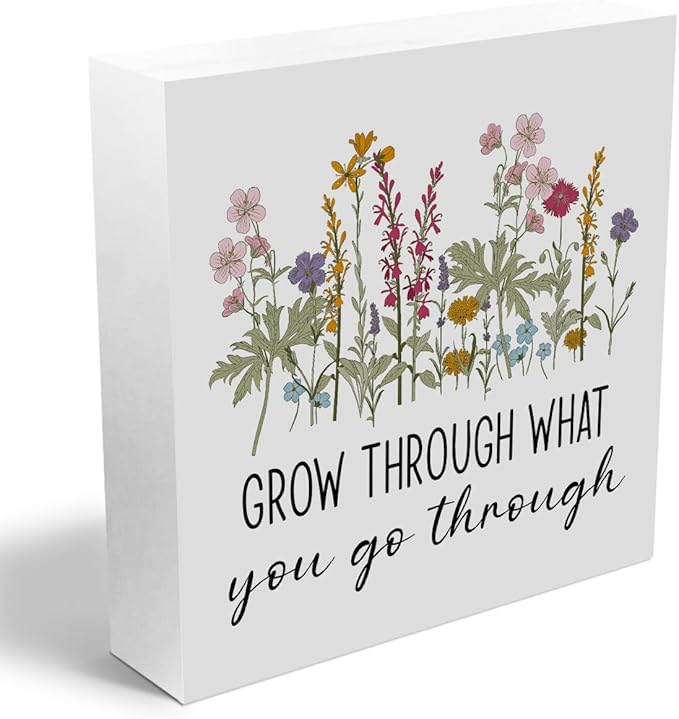 Motivational Gifts Wooden Box Sign, Inspirational Gifts for Women Positive Quotes Decor for Besties Teachers, Rustic Farmhouse Home Classroom Desk Table Therapy Office Decor Wood Block Plaque