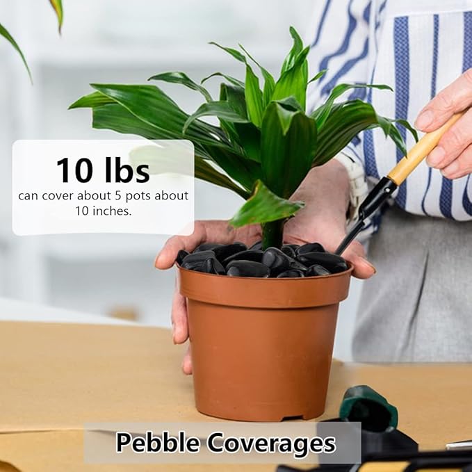 20lbs Black Pebbles for Plants, 1-2 Inch High Polished Natural River Rocks for Landscaping, Decorative Stones Vase Filler Fish Tank Aquariums Garden Outdoor and Indoor DIY