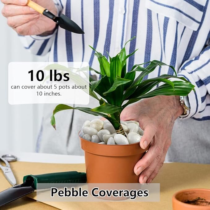 40lbs White River Rocks for Garden Landscaping, 1-2 Inch Natural Pebbles for Indoor Plants, High Polished Decorative Stones Outdoor and Indoor DIY Vase Filler Fish Tank Aquariums