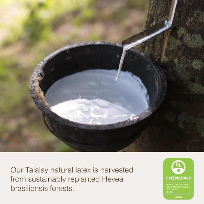 Coop Home Goods Adjustable Latex Pillow Queen, Talalay Latex & Microfiber Fill, Best Pillows for Sleeping, Ergonomic, Naturally Cooling, Eco-Friendly, Medium Firm for Back, Side & Stomach Sleepers