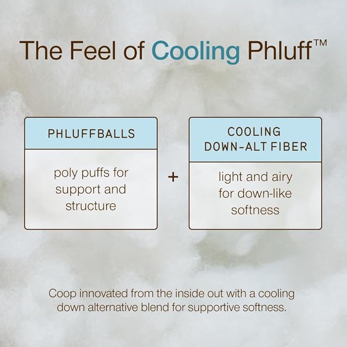 Coop Home Goods Essence Cooling Down Alternative Pillows Set of 2, Queen Size Adjustable Cooling Pillow for Hot Sleepers, Cool-Touch Luxury Hotel Pillows for Stomach, Back, or Side Sleepers 27x17