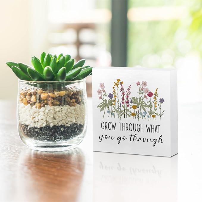 Motivational Gifts Wooden Box Sign, Inspirational Gifts for Women Positive Quotes Decor for Besties Teachers, Rustic Farmhouse Home Classroom Desk Table Therapy Office Decor Wood Block Plaque