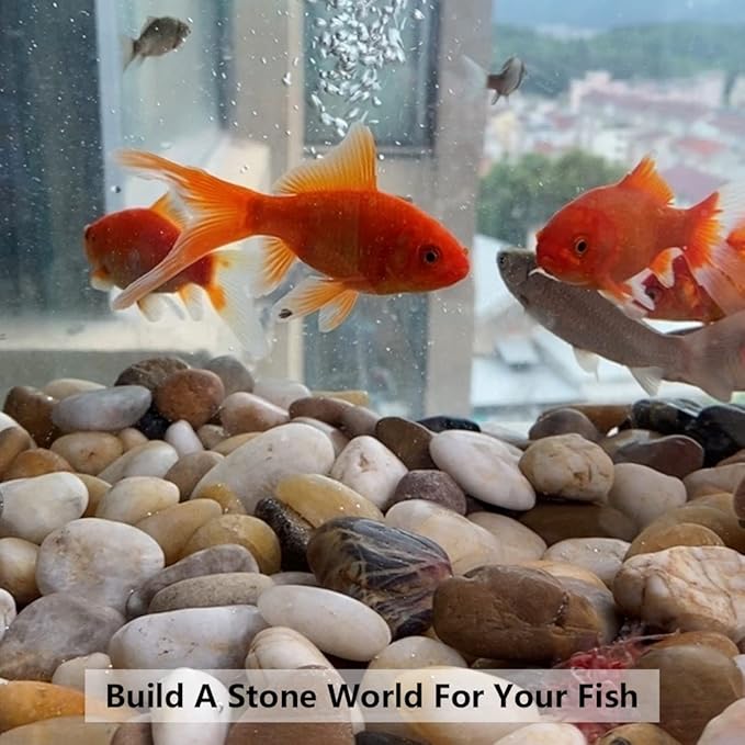 White Pebbles for Indoor Plants, Natural Polished River Rocks, Small Decorative Stones for Planters Vase Fish Tank Aquariums Landscaping Garden, 10lbs