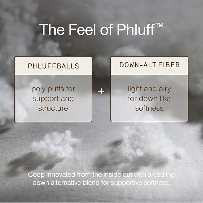 Coop Home Goods Essence Down Alternative Pillow Set of 2, Queen Size, Best Pillows for Sleeping, Adjustable Alternative to Down Pillows, Luxury Hotel Pillow for Back, Stomach or Side Sleepers