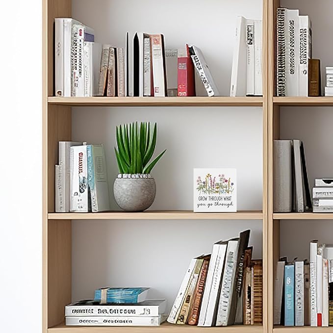 Motivational Gifts Wooden Box Sign, Inspirational Gifts for Women Positive Quotes Decor for Besties Teachers, Rustic Farmhouse Home Classroom Desk Table Therapy Office Decor Wood Block Plaque