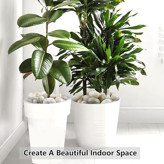 2lbs White River Rocks, 1-2 Inch Natural Pebbles for Indoor Plants, High Polished Decorative Stones Vase Filler Fish Tank Aquariums Landscaping Garden Outdoor and Indoor DIY