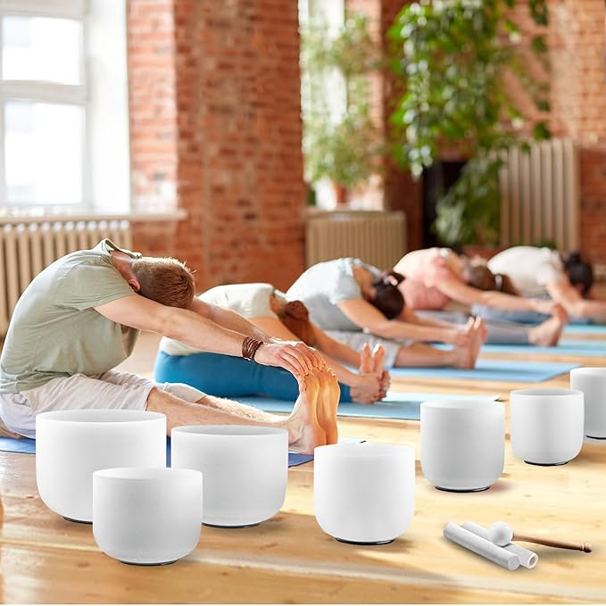 Ryan Dvan 432Hz 7-12 Inch 7 Chakra Crystal Singing Bowl Set Frosted Quartz Crystal Sound Therapy Kit with Suede Mallets 2 Travel Cases O-Ring Tool for Yoga Meditation Energy Balancing Reiki Healing