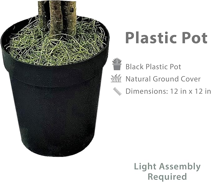 Artificial Deluxe Ficus Tree in Black Plastic Pot - Real Wood Trunk, Preassembled, No Maintenance Indoor Faux Plant - Living Room, Home & Office Decor (6ft Tall)