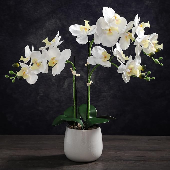 Artificial White Orchid Plant in Gray Ceramic Pot, Realistic Faux Flowers Indoor Decorative Display, 21-Inches Tall, Non-Allergenic, Maintenance-Free