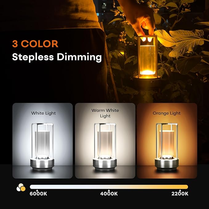 Portable Metal Table Lamp for Indoor/Outdoor ,Rechargeable Cordless LED Lamp, 3-Colour Infinitely Dimming Battery Powered Small Desk Lamp, Restaurant/Bedroom/Bar/Coffee/Camping Light (Sliver Set of 2)
