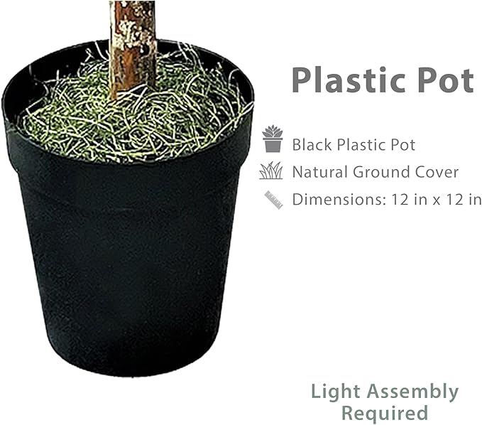 Artificial Ficus Tree in Black Plastic Pot - Real Wood Trunk, Preassembled, No Maintenance Indoor Faux Plant - Living Room, Home & Office Decor (8ft Tall)