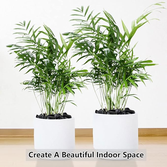 10lbs Black Pebbles for Plants, 1-2 Inch High Polished Natural River Rocks for Landscaping, Decorative Stones Vase Filler Fish Tank Aquariums Garden Outdoor and Indoor DIY