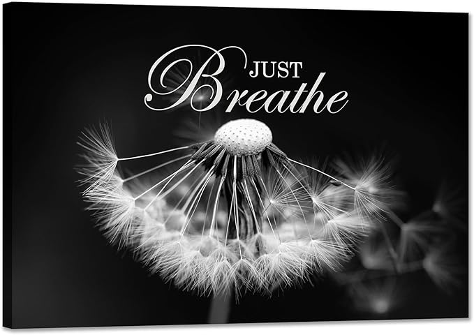SKASNFAI Zen Wall Art Just Breathe Canvas Picture Positive Inspirational Dandelion Framed Artwork Poster Mental Health Office Pictures Wall Decor for Bathroom (20L x 30W)