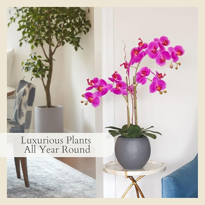 CG Hunter Faux Pink Orchid Plant, Premium Artificial Indoor Flower Display Stands 23-Inches with Beautiful Sculptural Blooms and Foliage That Lasts Forever, Grey Planter Pot Included