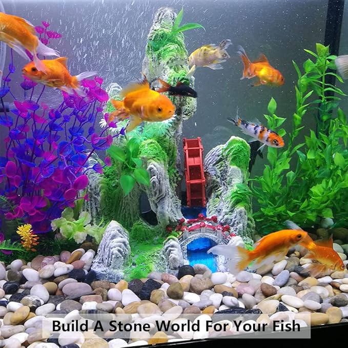 5lbs Pebbles for Indoor Plants, 1-2 Inch Mixed Color High Polished River Rocks Outdoor Decorative Stones Vase Filler Fish Tank Aquariums Landscaping Garden Outdoor and Indoor DIY